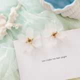 30 Styles Earrings For Women