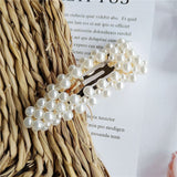 Pearl Sea Shell Earrings For Women